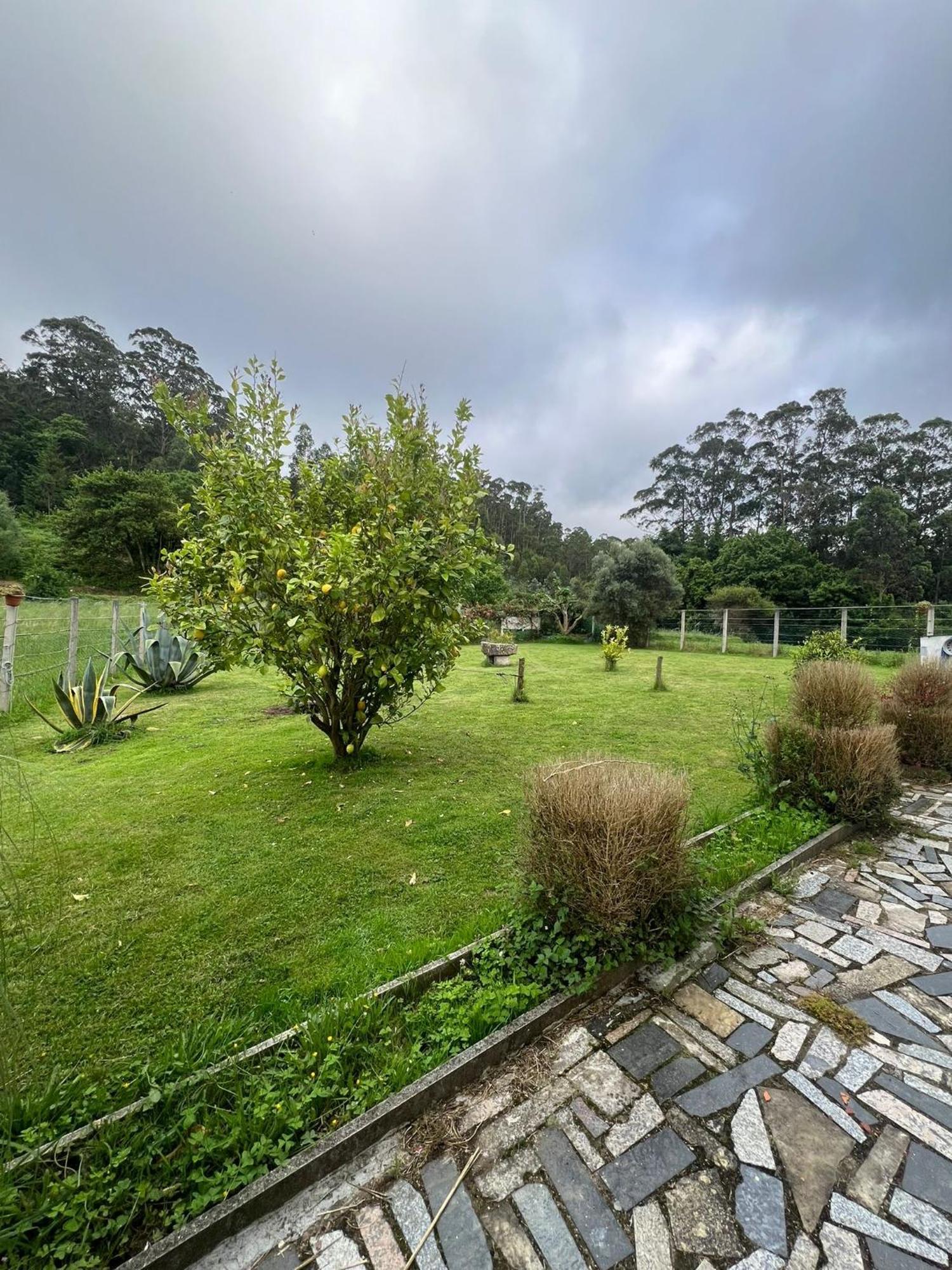 Casa De Campo Adosada Viveiro Bagian luar foto